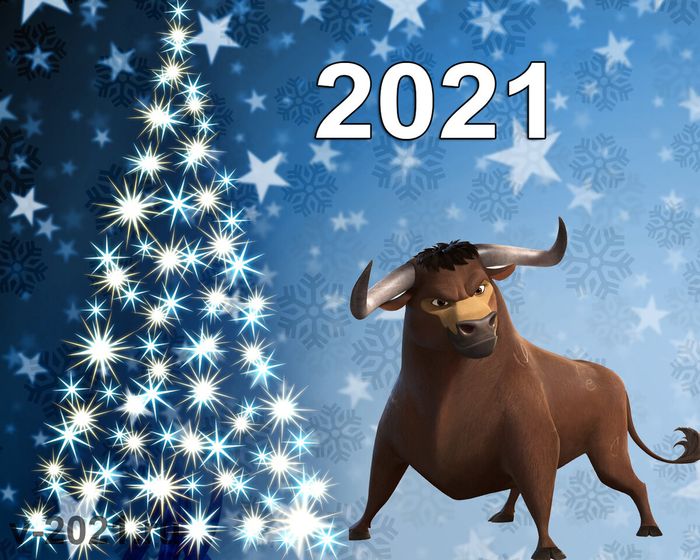Новогодние НЮ фото 2021-2021 год фото