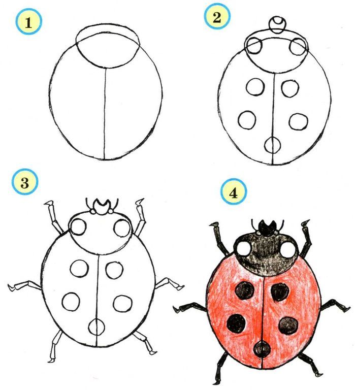 Божья коровка рисунок поэтапно 1 класс