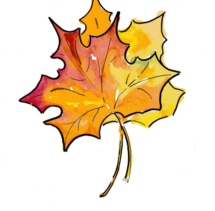 Осенний лист рисунок. Кленовый лист рисунок. Нарисовать кленовый лист. Рисунки осенних листьев. Лист клёна рисунок.