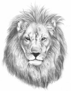 Срисовать картинку льва