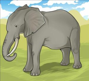 Фото слона для детей мультяшные