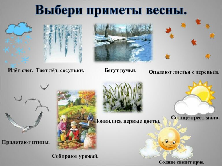 Первые признаки весны картинки