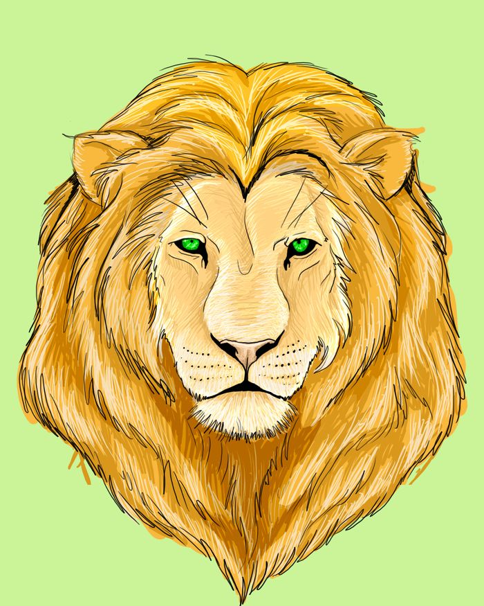 Рисунки льва для срисовки (100 фото)